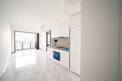 The Landmark (D3), Condominium #522888341